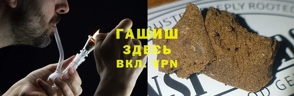 гашик Сосновый Бор
