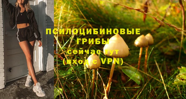 гашик Сосновый Бор