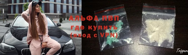 гашик Сосновый Бор