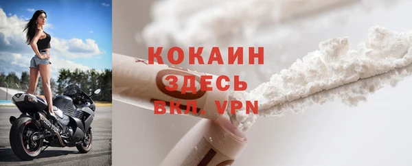 гашик Сосновый Бор