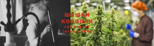 гидра Сосновоборск