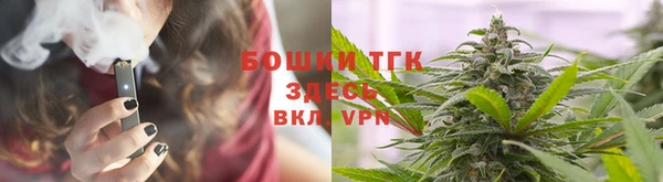 дурь Осинники