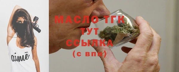 гашик Сосновый Бор