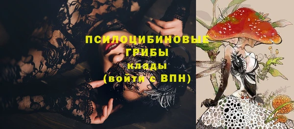 гашик Сосновый Бор