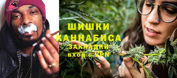 гашик Сосновый Бор
