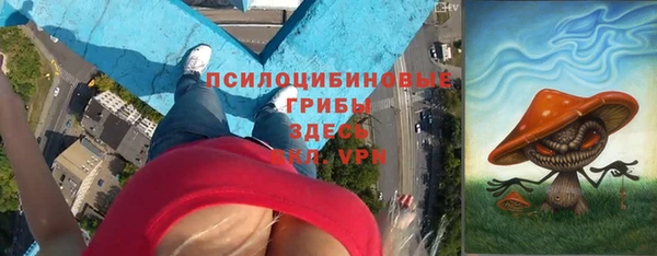 гашик Сосновый Бор