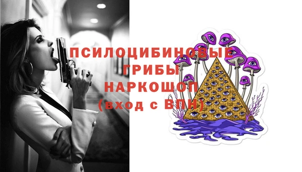 гидра Сосновоборск