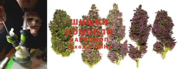 гидра Сосновоборск