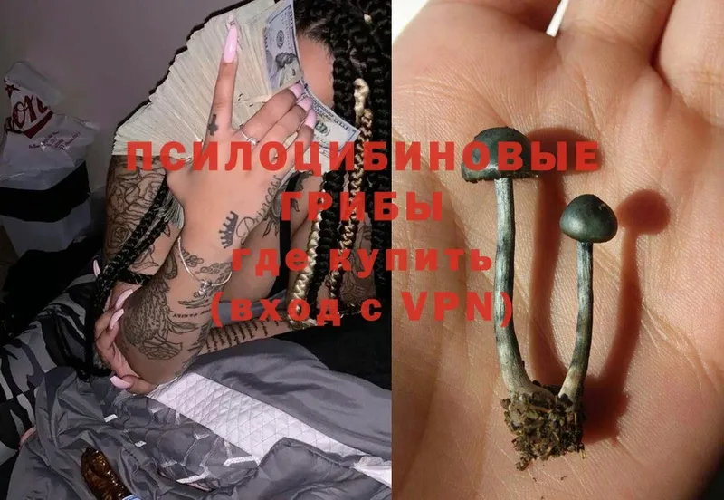 Псилоцибиновые грибы GOLDEN TEACHER  купить закладку  Алдан 